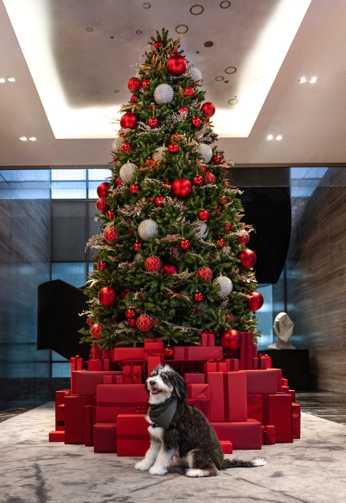 Park Hyatt NY